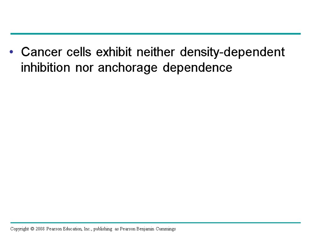 Cancer cells exhibit neither density-dependent inhibition nor anchorage dependence Copyright © 2008 Pearson Education,
